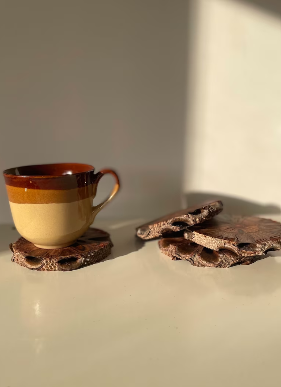 Banksia Coasters