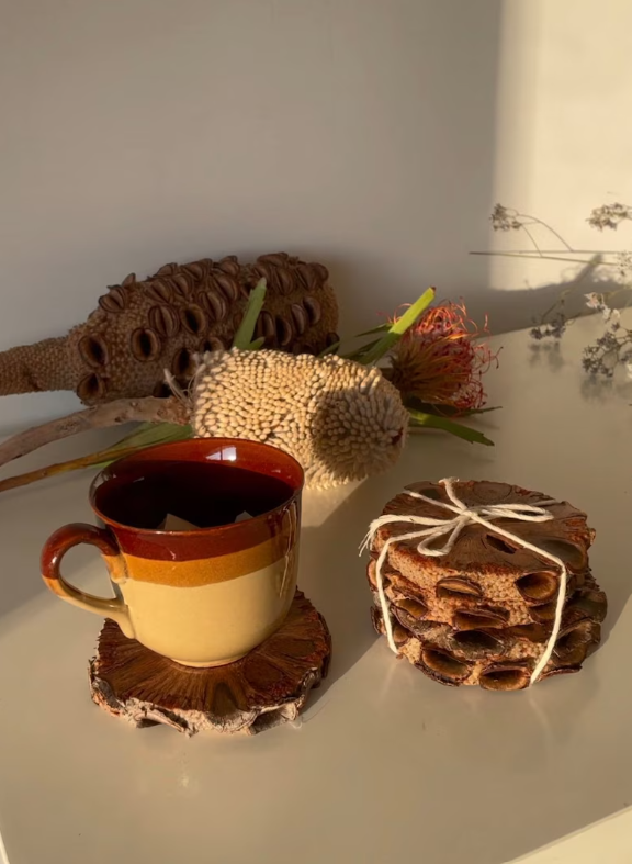 Banksia Coasters