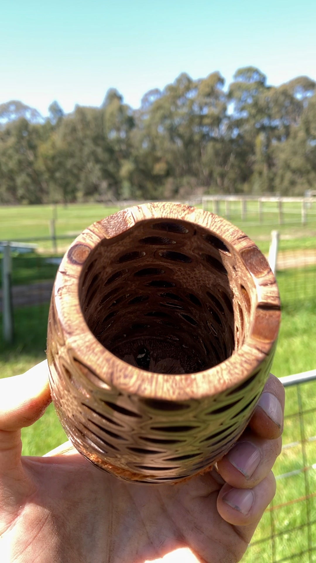 Banksia Lantern Candle